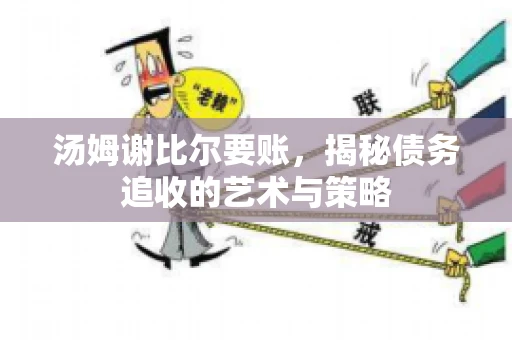 汤姆谢比尔要账，揭秘债务追收的艺术与策略