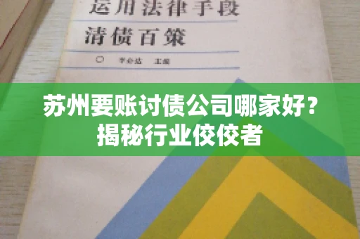 苏州要账讨债公司哪家好？揭秘行业佼佼者