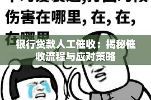 银行贷款人工催收：揭秘催收流程与应对策略