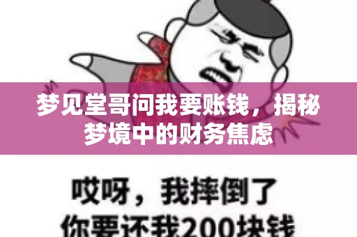 梦见堂哥问我要账钱，揭秘梦境中的财务焦虑