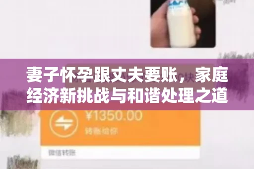 妻子怀孕跟丈夫要账，家庭经济新挑战与和谐处理之道