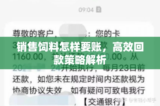 销售饲料怎样要账，高效回款策略解析