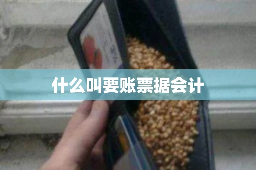 什么叫要账票据会计
