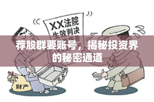 荐股群要账号，揭秘投资界的秘密通道