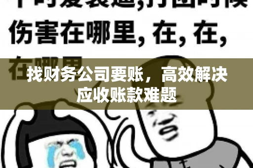 找财务公司要账，高效解决应收账款难题