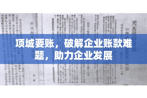 项城要账，破解企业账款难题，助力企业发展