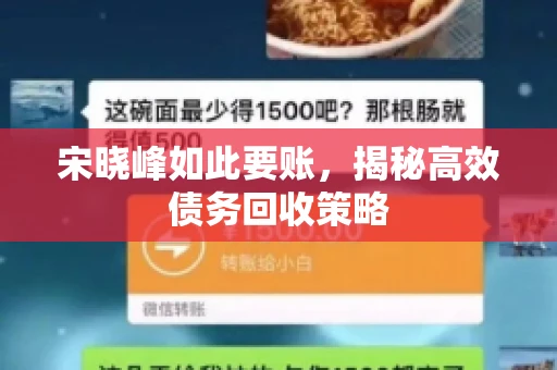 宋晓峰如此要账，揭秘高效债务回收策略