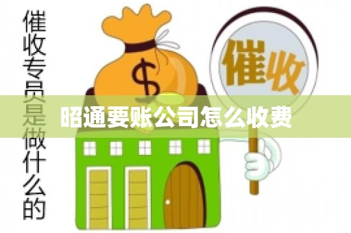 昭通要账公司怎么收费