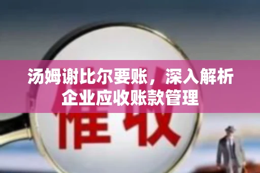 汤姆谢比尔要账，深入解析企业应收账款管理