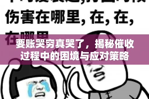 要账哭穷真哭了，揭秘催收过程中的困境与应对策略