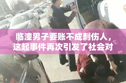 临潼男子要账不成刺伤人，这起事件再次引发了社会对讨债行为的关注。在这个故事中，我们不仅要了解事件的经过，还要思考如何避免类似悲剧的发生。