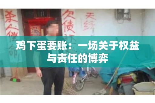 鸡下蛋要账:一场关于权益与责任的博弈 鸡下蛋要账:一场关于权益与责任的博弈