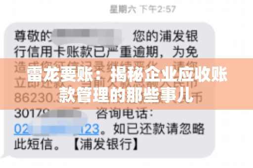 雷龙要账：揭秘企业应收账款管理的那些事儿