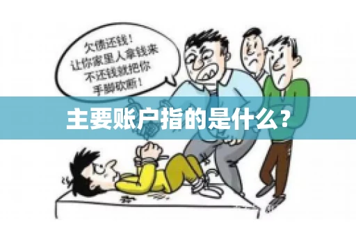 主要账户指的是什么？