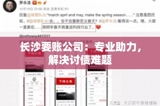 长沙要账公司：专业助力，解决讨债难题