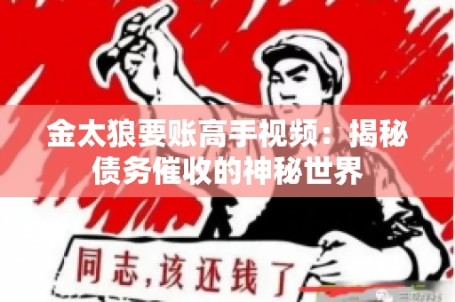金太狼要账高手视频：揭秘债务催收的神秘世界