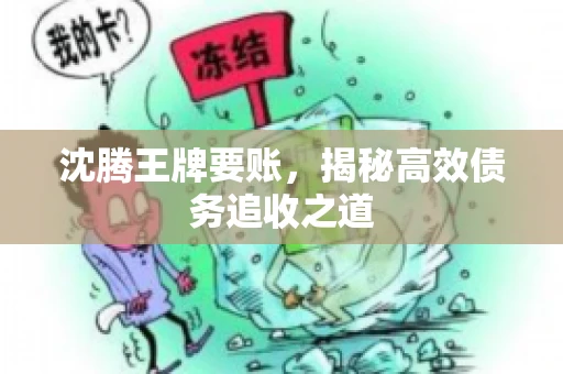 沈腾王牌要账，揭秘高效债务追收之道