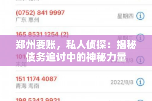 郑州要账，私人侦探：揭秘债务追讨中的神秘力量