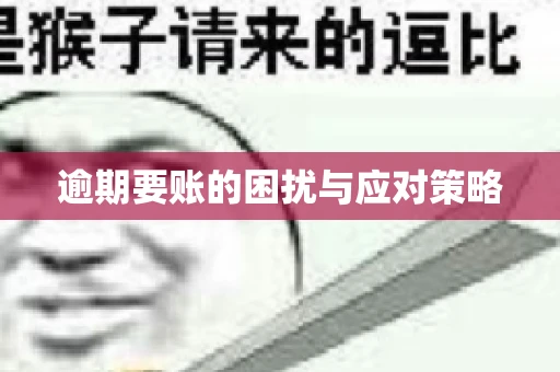 逾期要账的困扰与应对策略