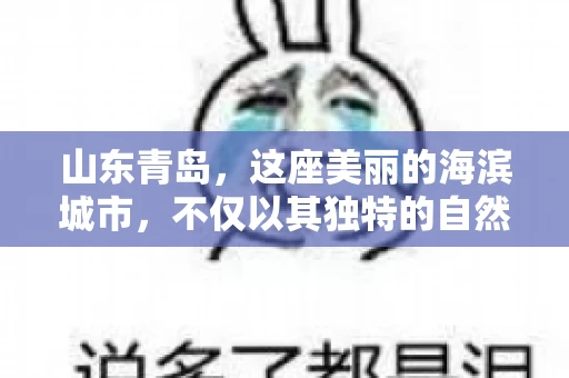 山东青岛，这座美丽的海滨城市，不仅以其独特的自然风光和丰富的历史文化著称，更是一个商业活动频繁、经济活力十足的地方。在这样一个充满机遇与挑战的城市，有一群人，他们专注于解决商业纠纷，帮助客户收回欠款，他们就是——山东青岛要账公司。