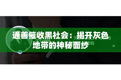 通善催收黑社会：揭开灰色地带的神秘面纱
