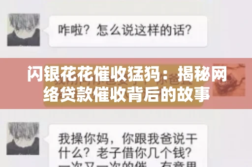 闪银花花催收猛犸：揭秘网络贷款催收背后的故事