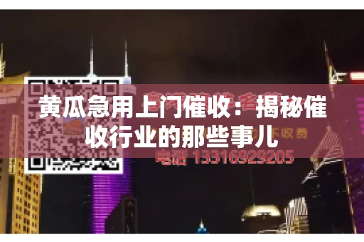 黄瓜急用上门催收：揭秘催收行业的那些事儿