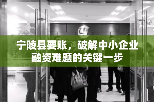 宁陵县要账，破解中小企业融资难题的关键一步
