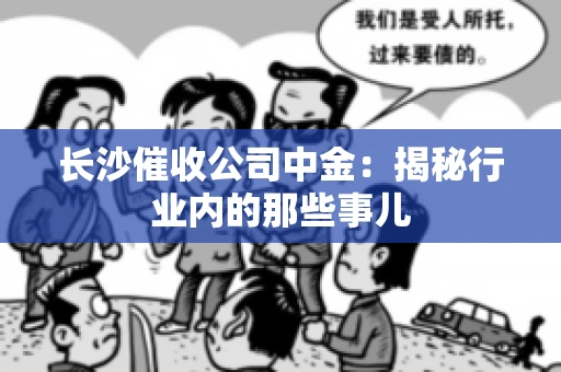 长沙催收公司中金：揭秘行业内的那些事儿